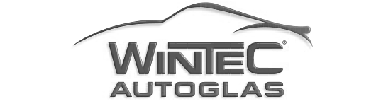 Logo Sponsoren_Wintec